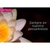 Tarjetita in Memoriam · D-03